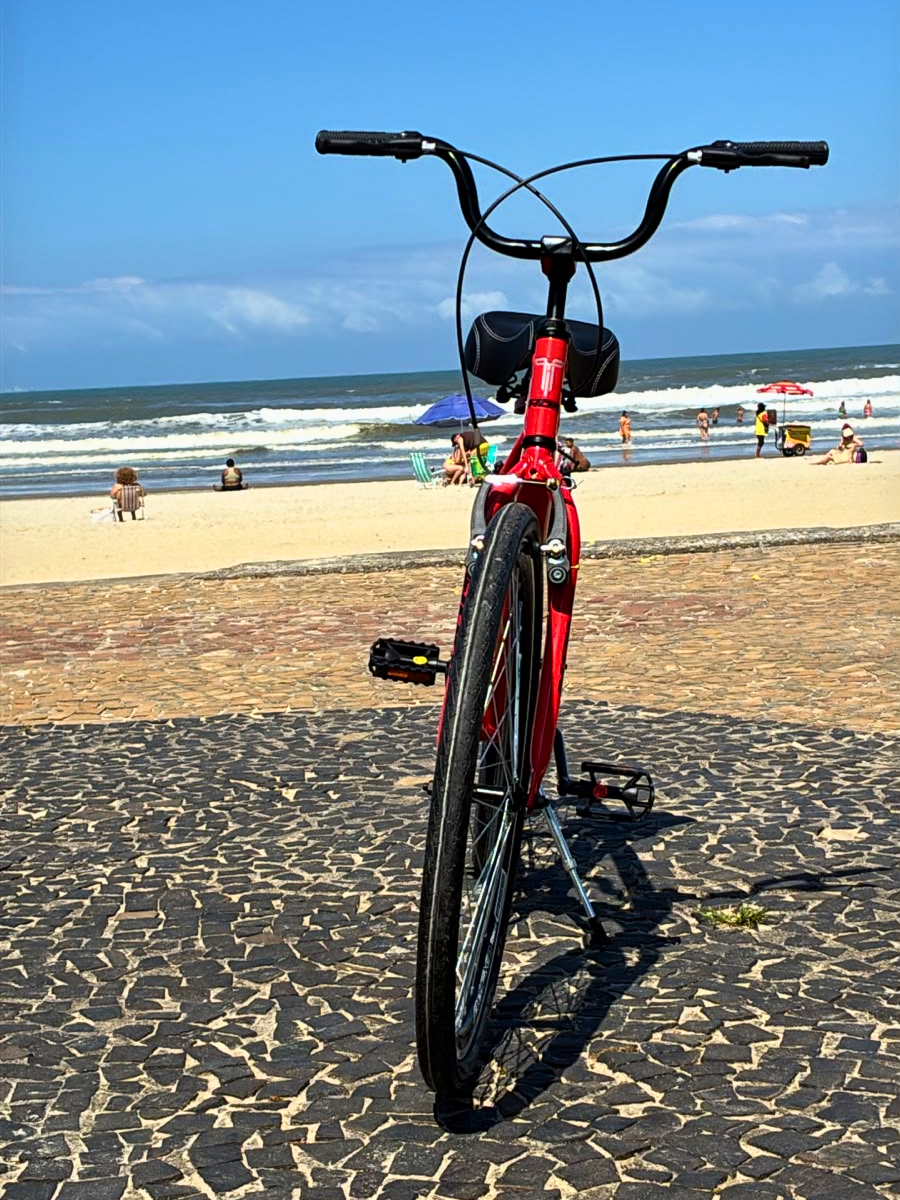 Foto 2 de Bicicleta Aro 29