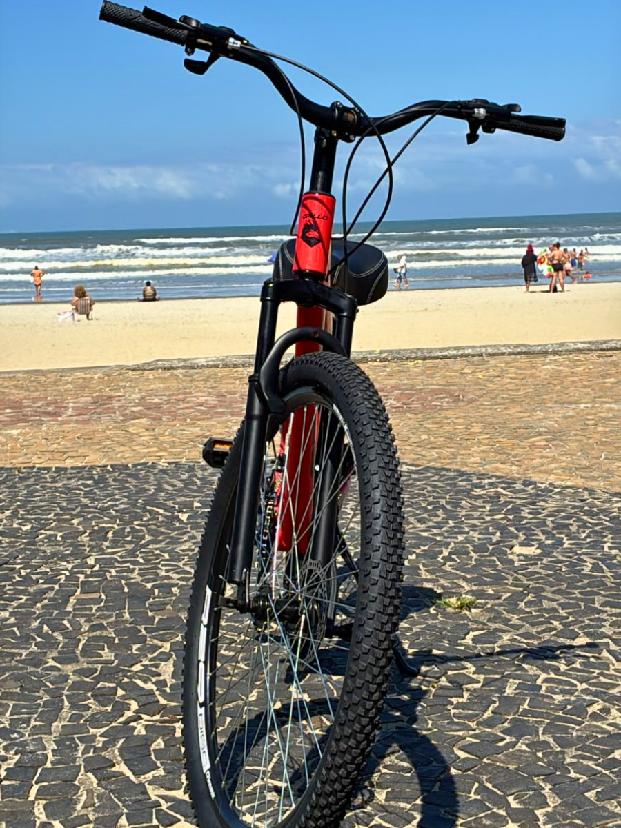 Foto 4 de Bicicleta Aro 29